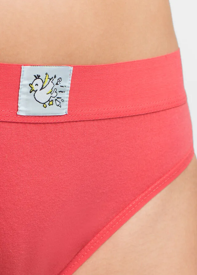 10PACK MULTICOLORPASTEL PANTIES