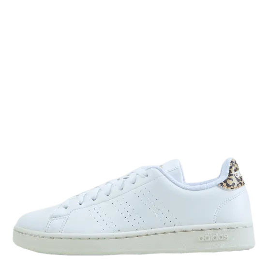 Adidas Advantage Shoes Cloud White / Cloud White / White Tint
