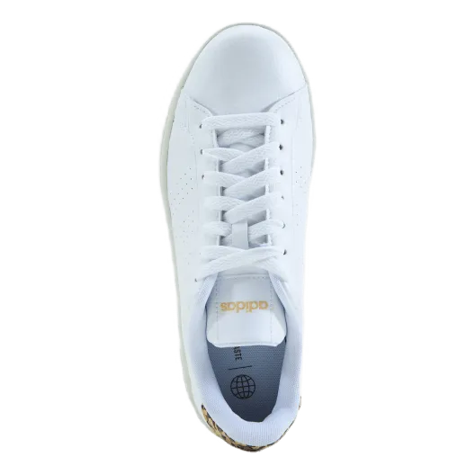 Adidas Advantage Shoes Cloud White / Cloud White / White Tint