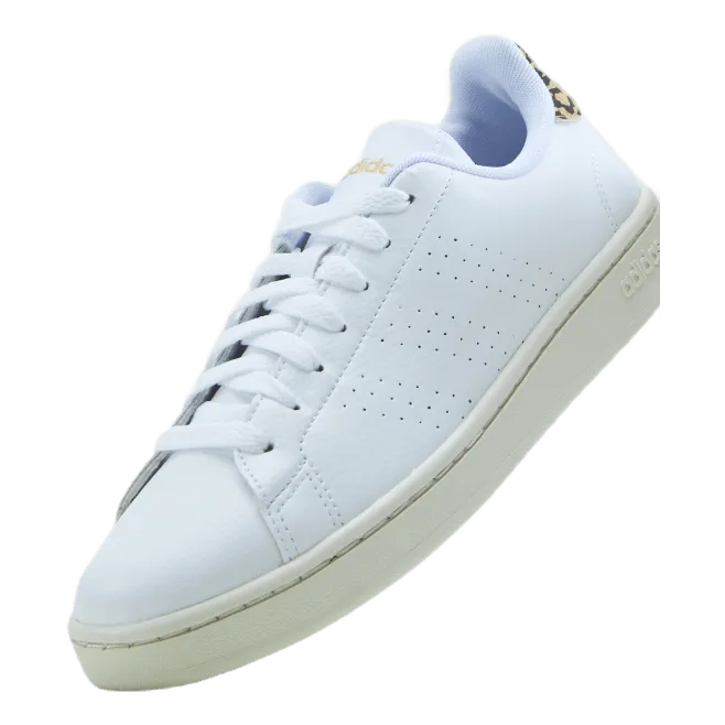 Adidas Advantage Shoes Cloud White / Cloud White / White Tint