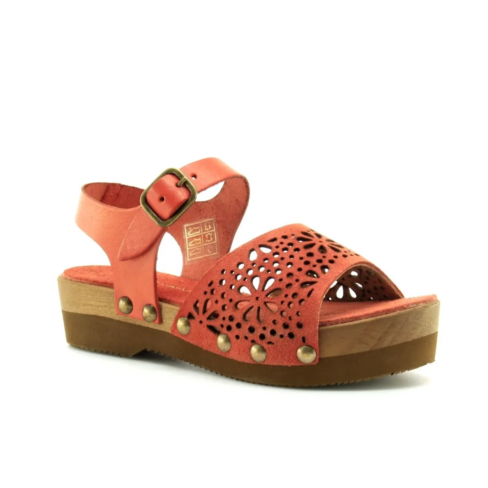Coral AngryMount 86N