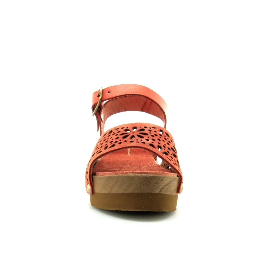 Coral AngryMount 86N