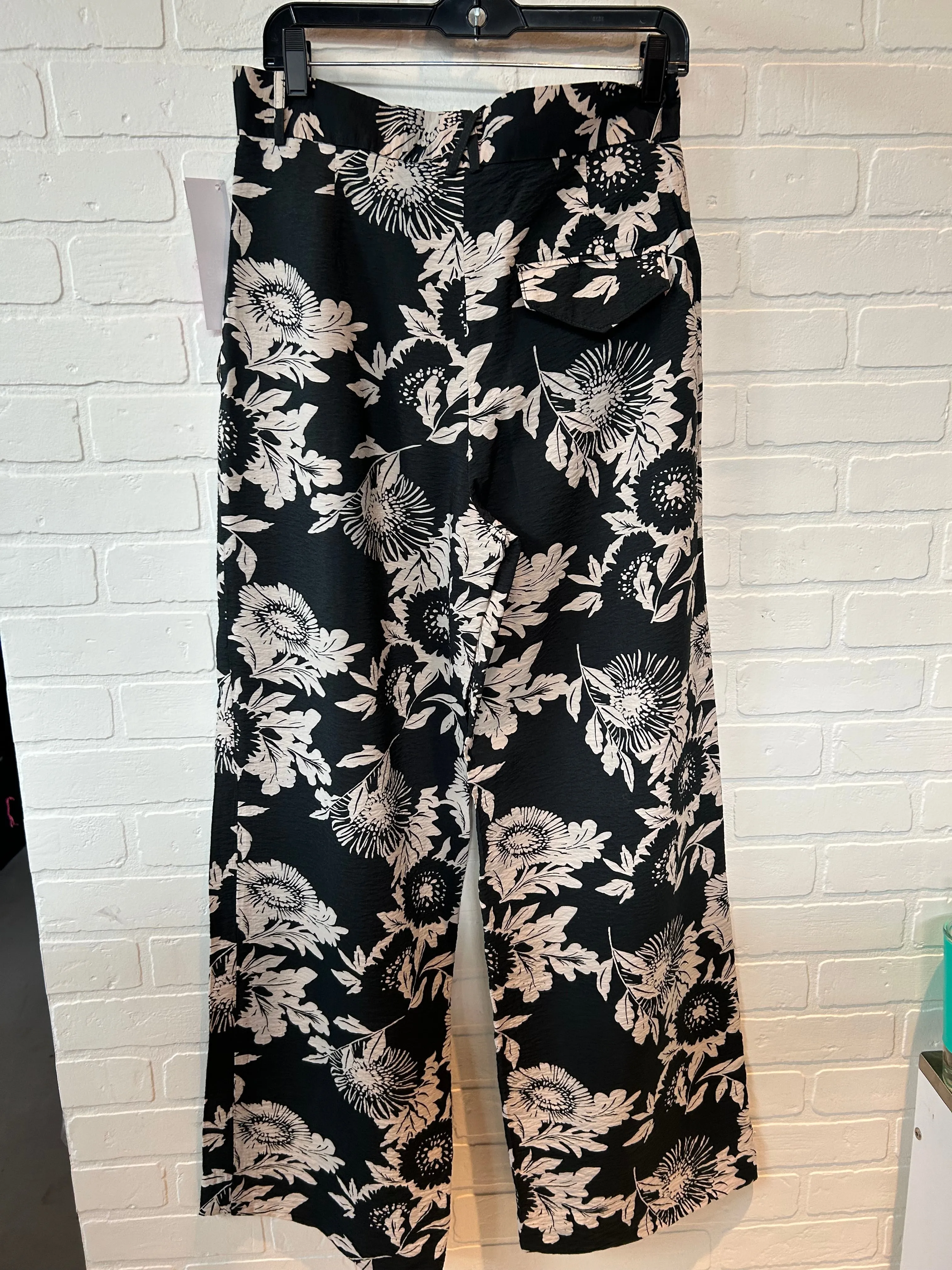 Black and Brown Wide Leg Pants, Banana Republic, Size 8
