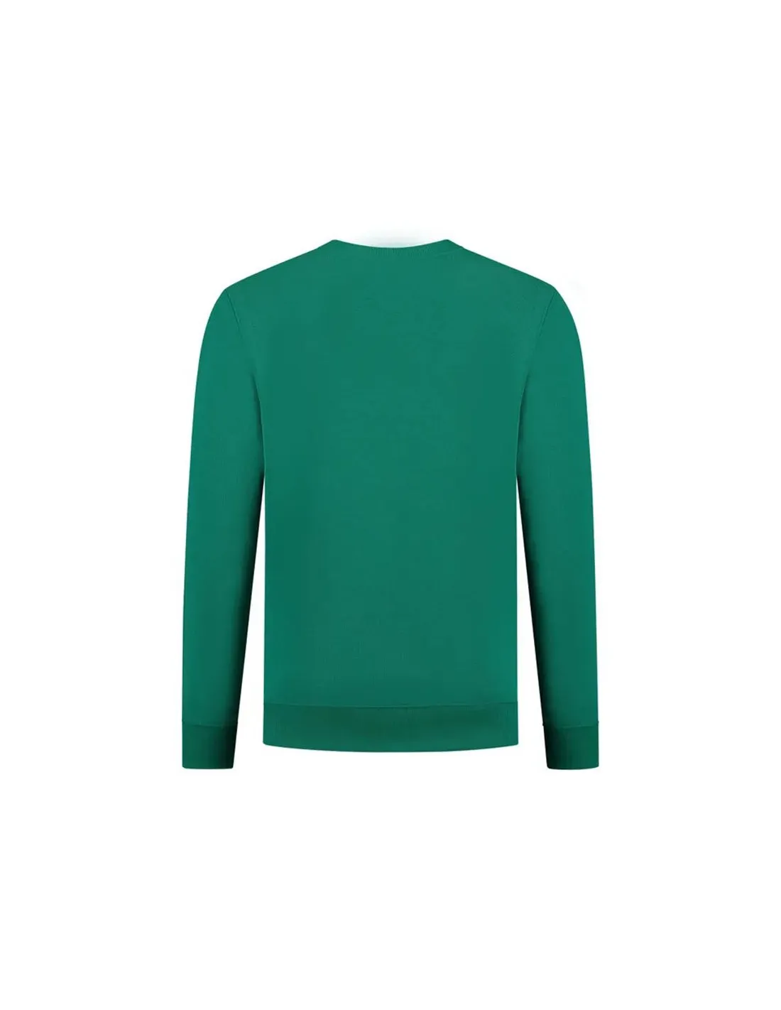 Champion sweatshirt for men.