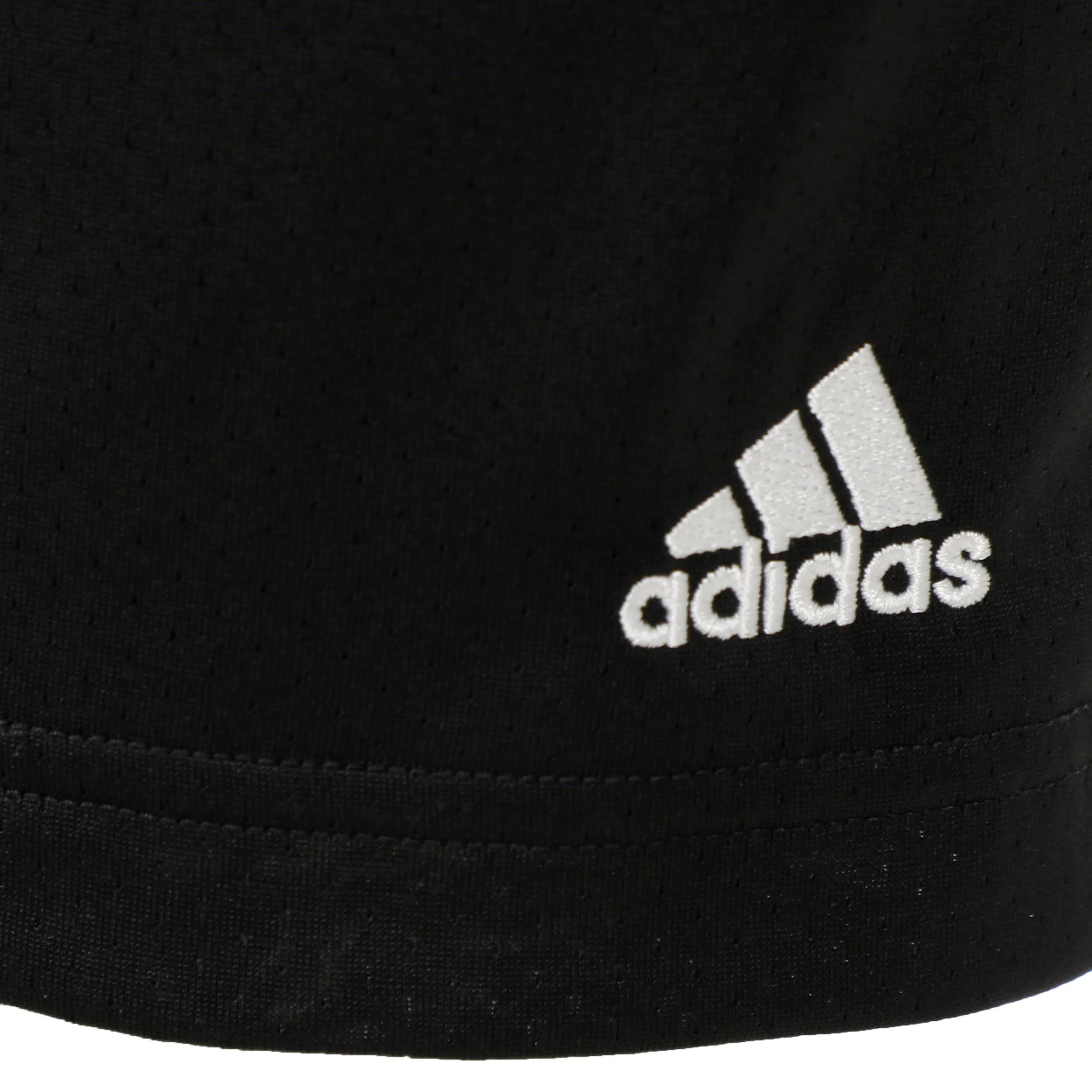 Chicos Shorts