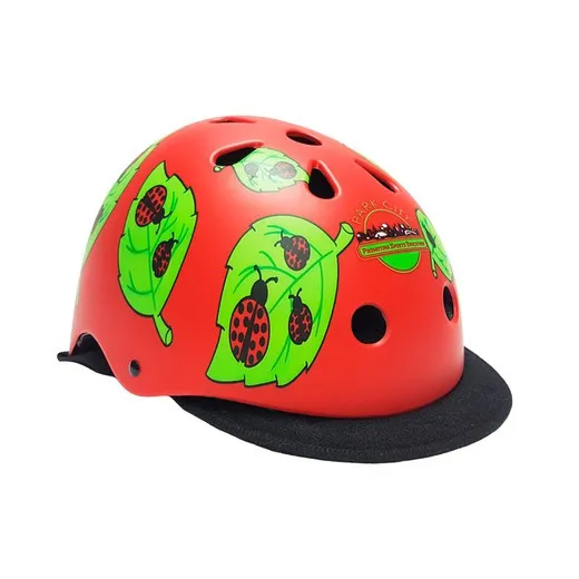 Park City Prot Helmet by Des