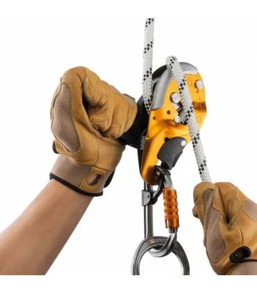 Petzl ID S Descender