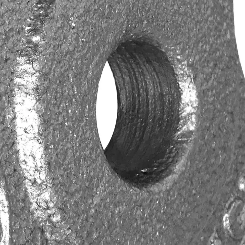 Disco de hierro 10 kg