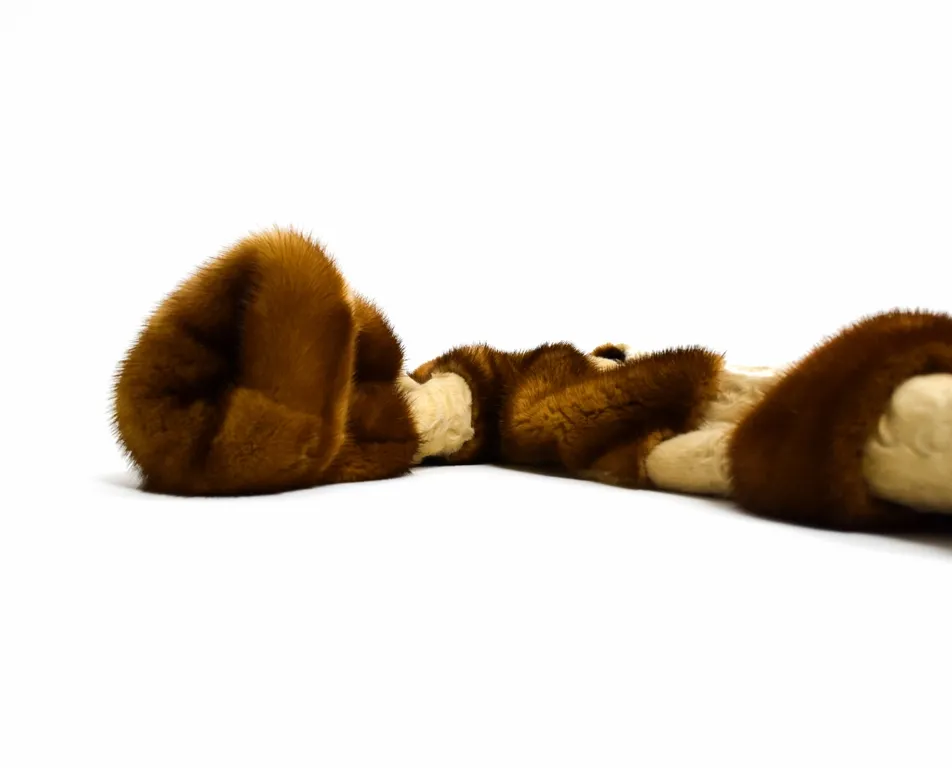 Golden and Swakara Mink Coat