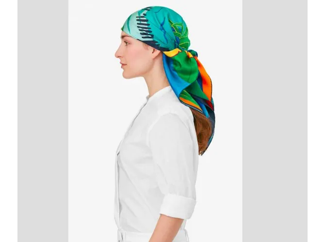 Hermès Paris Silk Carré Au Bout Du Monde de Antoine Carbonne Multicolor 