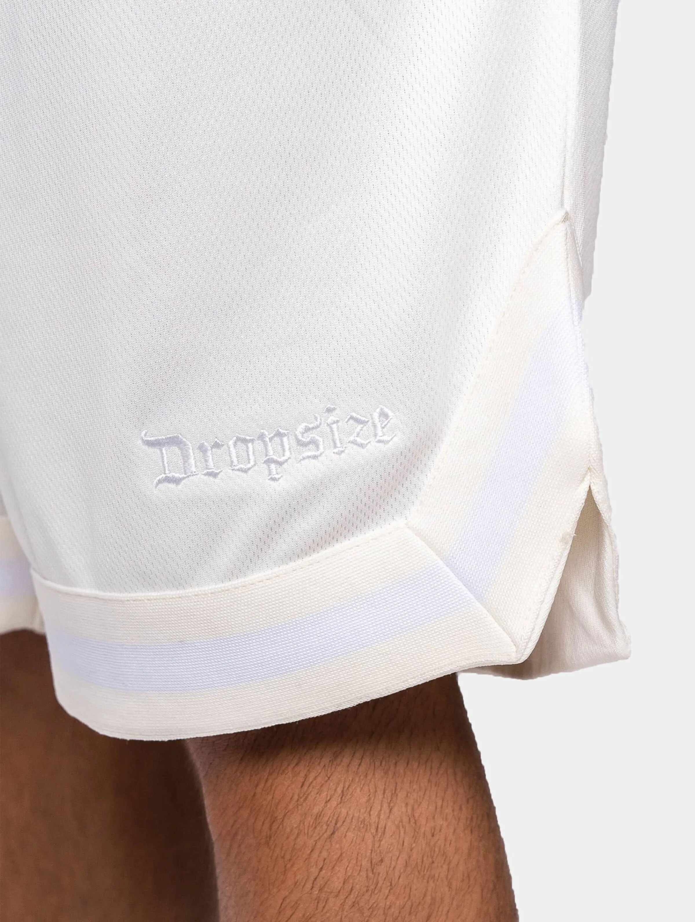 Logo Mesh Design