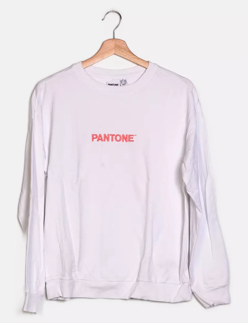 Sweater in Pantone colors