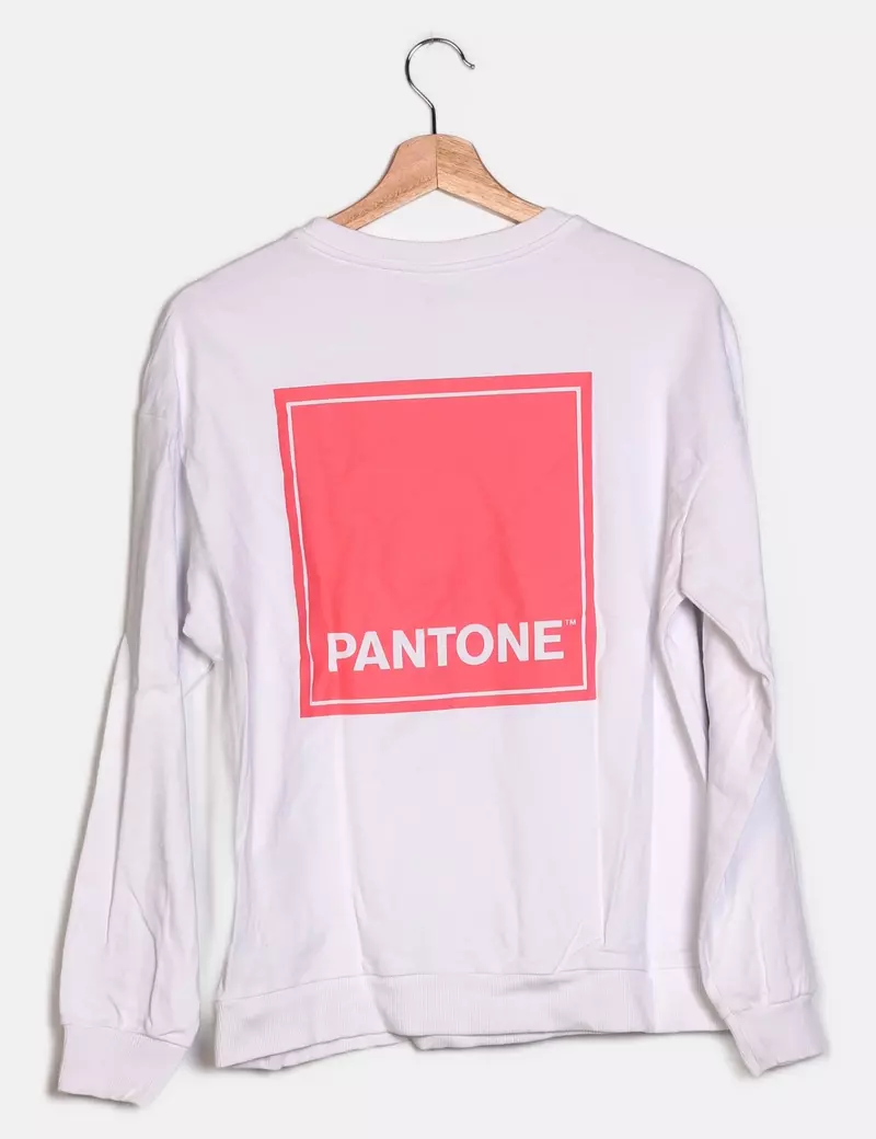 Sweater in Pantone colors